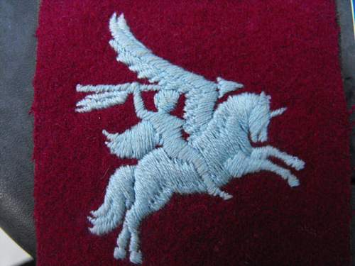 Hi opinions please on Pegasus airborne patch