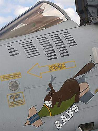 Post your favourite nose art !