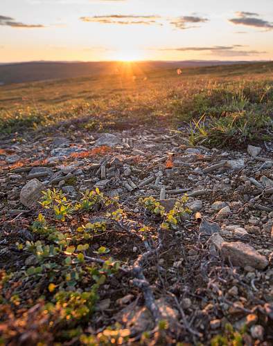 Exploring the Arctic battlefields of northern Finland