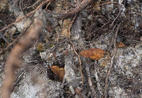 Exploring the Arctic battlefields of northern Finland