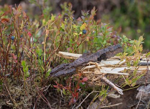 Exploring the Arctic battlefields of northern Finland