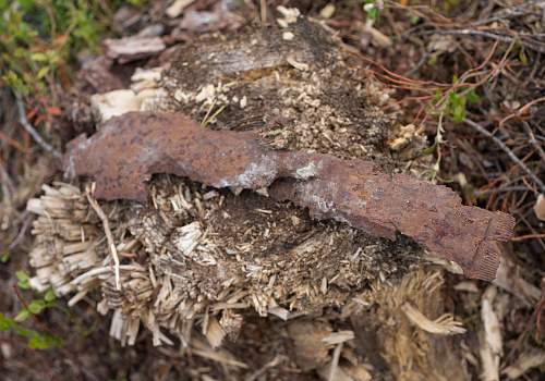 Exploring the Arctic battlefields of northern Finland