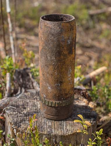 Exploring the Arctic battlefields of northern Finland