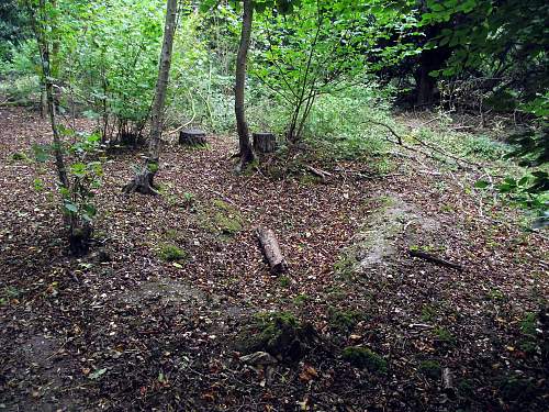 Pre D Day battleground Training Area.