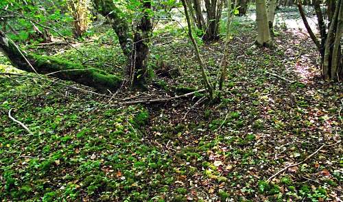 Pre D Day battleground Training Area.