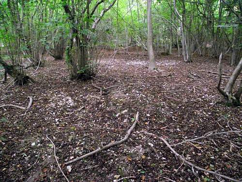 Pre D Day battleground Training Area.