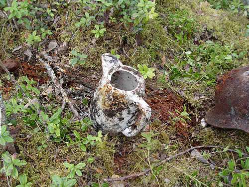 Battlefields in North Karelia( SS-Nord Division)