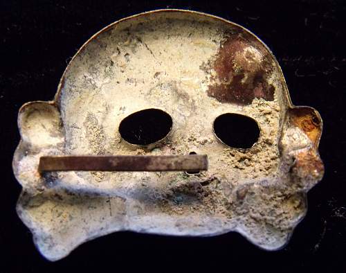 Another Danziger Skull