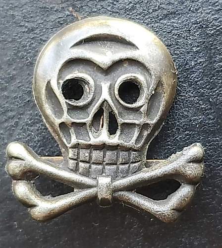 Brunswick Hussars Skull EM