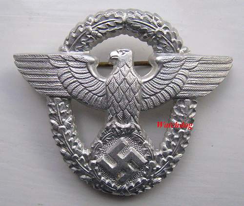 Police Cap badge