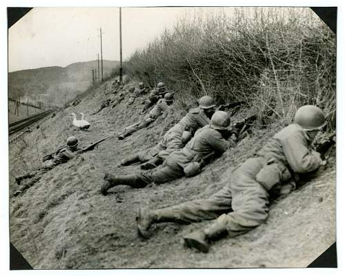 WWII U.S. Dog Tags