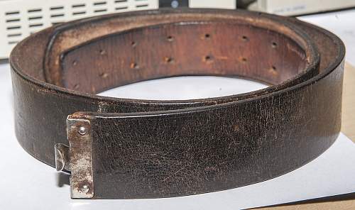 RZM L2/600/36 belt?