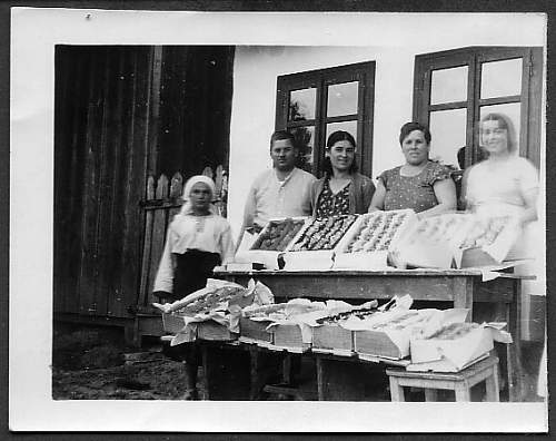 WWII photobook of my grandfather served in Rgt. 616 WH 16