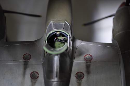 Italian Air Force P38 and P51