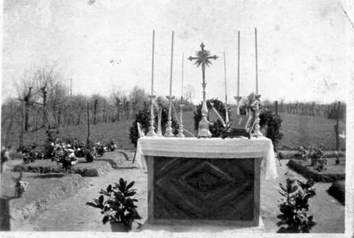 Madonna dell'Albero