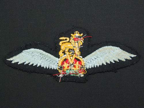 Help with British Army Badge of Flying