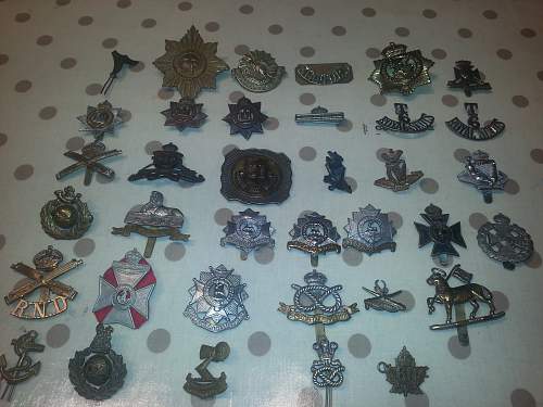 British and Commonwealth capbadges.