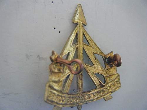 Small group of Reconnaissance Corps insignia