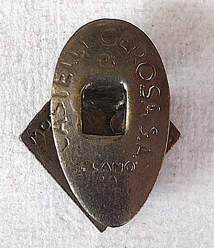 Unknown PNF Lapel Badge for ID