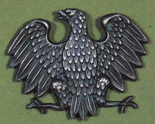 Cap badge