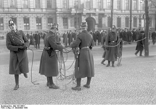 Schutzpolizei bayonets