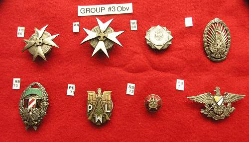 POLISHBOYS REGIMENTAL BADGES In DETAIL PART I