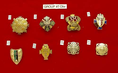 POLISHBOYS REGIMENTAL BADGES In DETAIL PART I