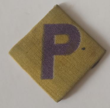 Unknow Polish Badge