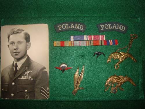 Polish AirForce Badges Gallery