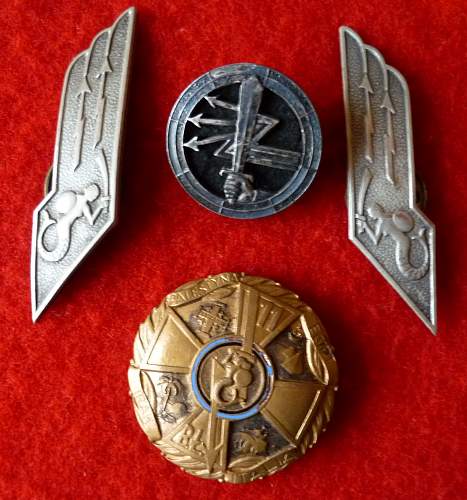 Polish Regimental Badges WW2