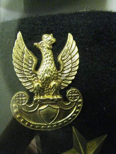 Polish Hat Eagles