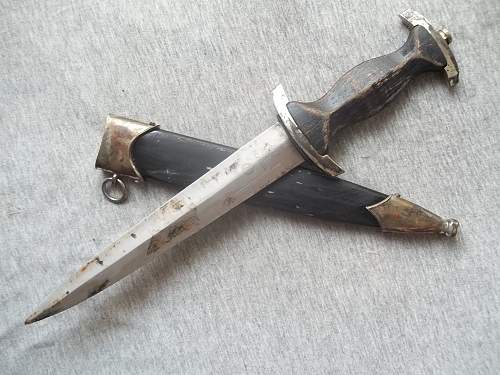 Newbie SS Dagger Fake?? Help greatful