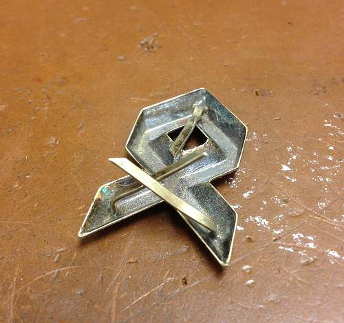 Odal Rune Pin?