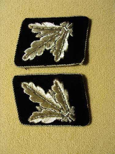 Brigadefuhrer collar tabs for opinion