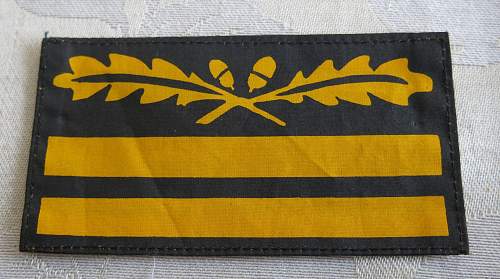 SS Cammo rank insignia