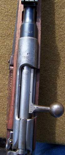 Dutch/German M95 Carbine 6.5mm