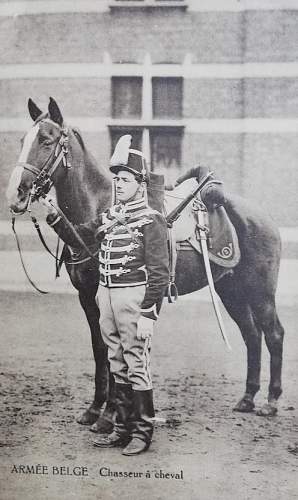 Belgian army through postcards and photos